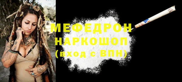 гидра Няндома