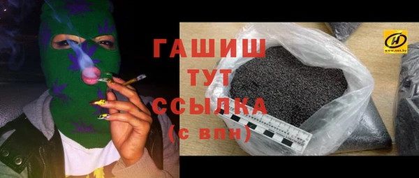 гидра Няндома