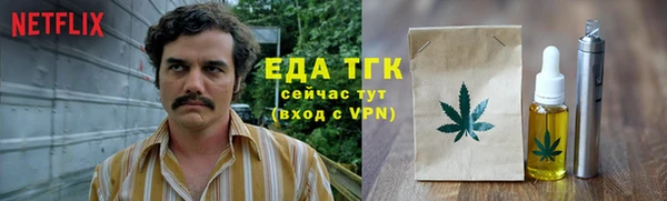 гидра Няндома