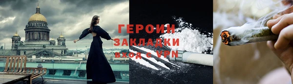 гидра Няндома