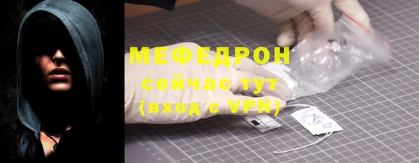 гидра Няндома