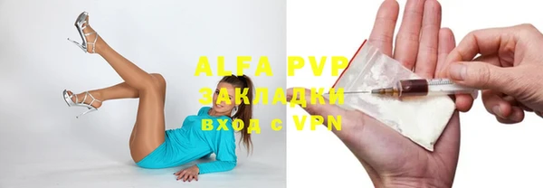 стафф Осташков