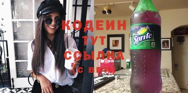 гидра Няндома