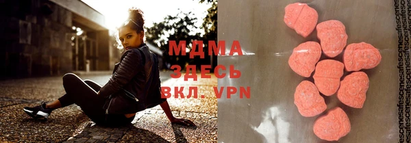 гидра Няндома