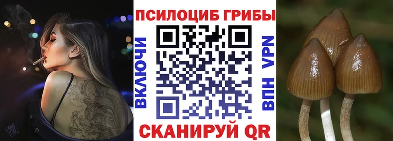 Псилоцибиновые грибы Magic Shrooms  ОМГ ОМГ зеркало  Ардатов 